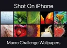 اپل برنده‌های مسابقه Shot On iPhone را معرفی کرد
